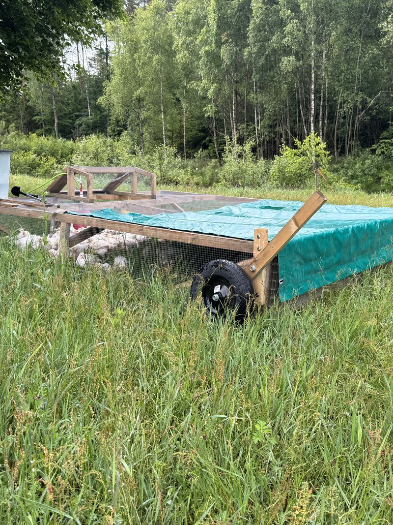 Mobilna zagroda na letnim pastwisku - Zakłobuczyno