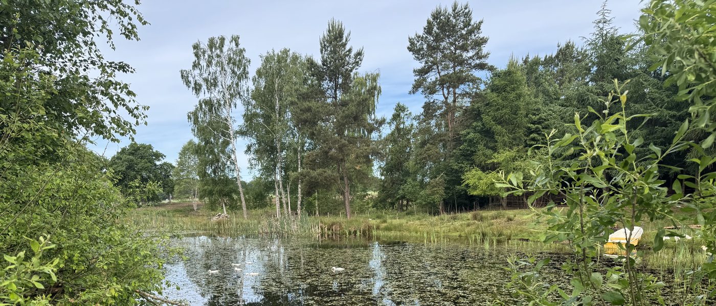 Panorama stawów hodowlanych Zakłobuczyno - Kłobuczyno, powiat kościerski, Kaszuby